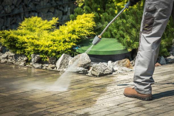 Best Winterizing Services  in Selinsgrove, PA
